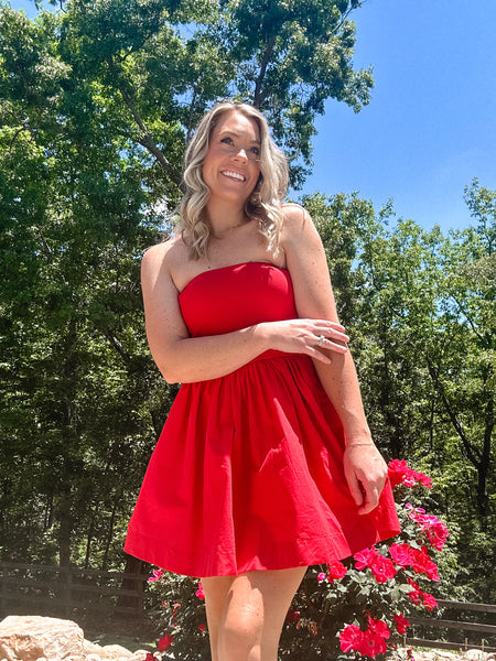 Scarlett Mini Dress