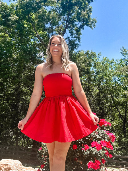 Scarlett Mini Dress