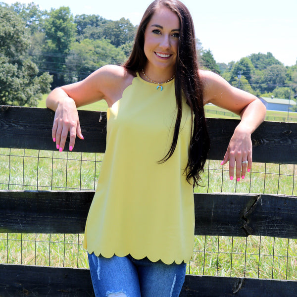 Yellow Scallop Tank